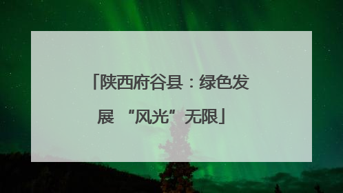 陕西府谷县：绿色发展 “风光”无限